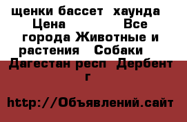 щенки бассет- хаунда › Цена ­ 20 000 - Все города Животные и растения » Собаки   . Дагестан респ.,Дербент г.